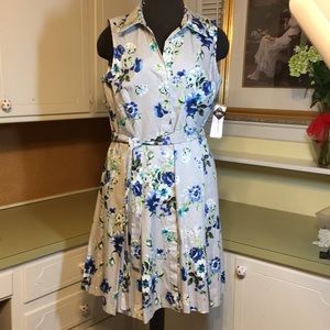 Sleeveless Button Front Dress